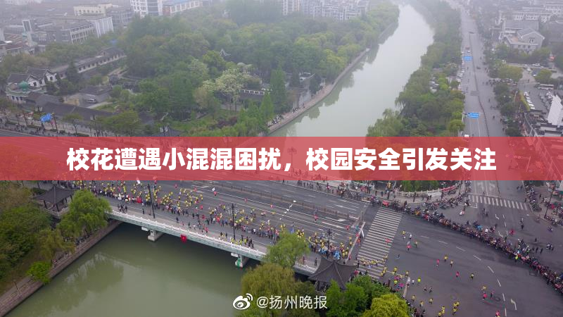 校花遭遇小混混困扰，校园安全引发关注