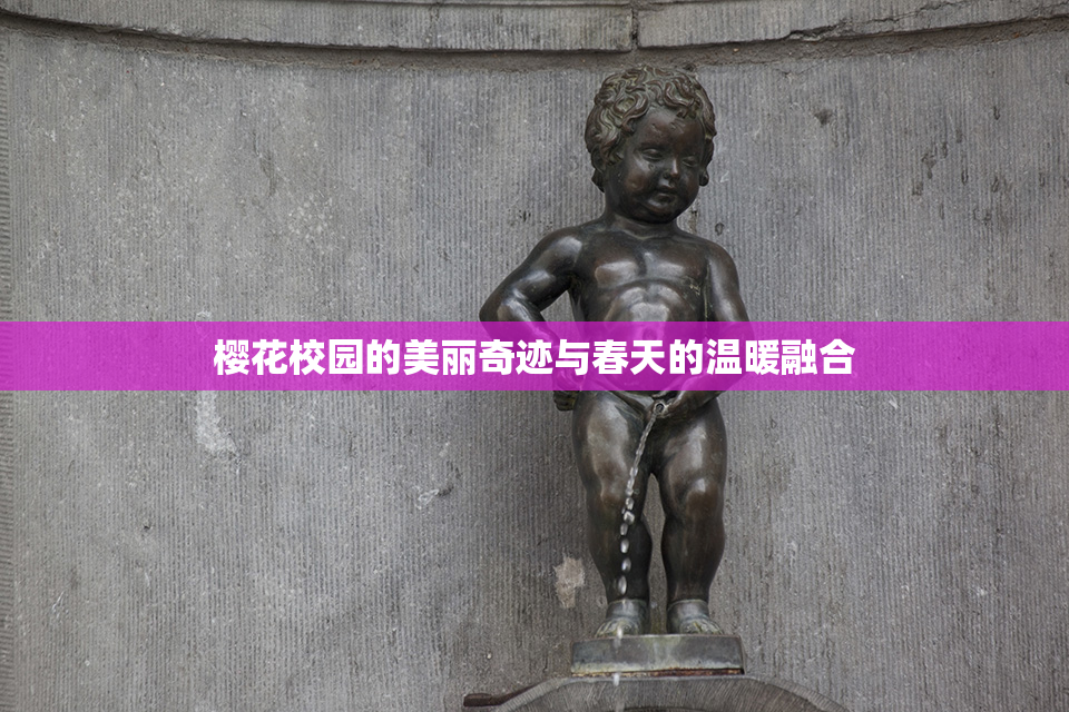 樱花校园的美丽奇迹与春天的温暖融合