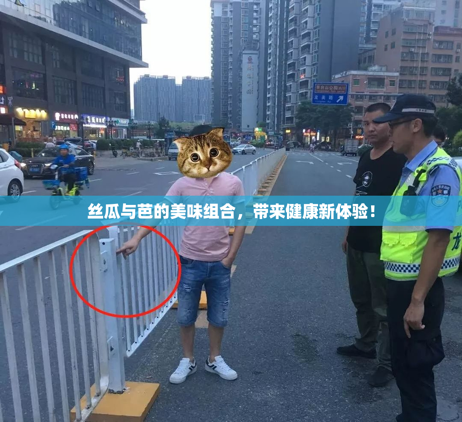 丝瓜与芭的美味组合，带来健康新体验！