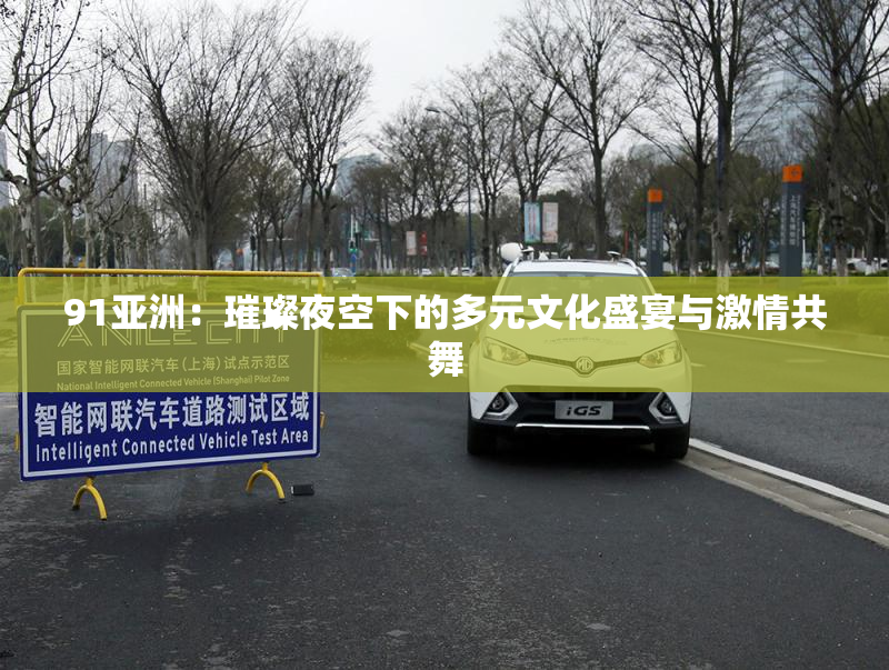 91亚洲：璀璨夜空下的多元文化盛宴与激情共舞