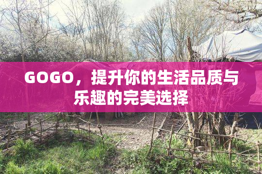 GOGO，提升你的生活品质与乐趣的完美选择
