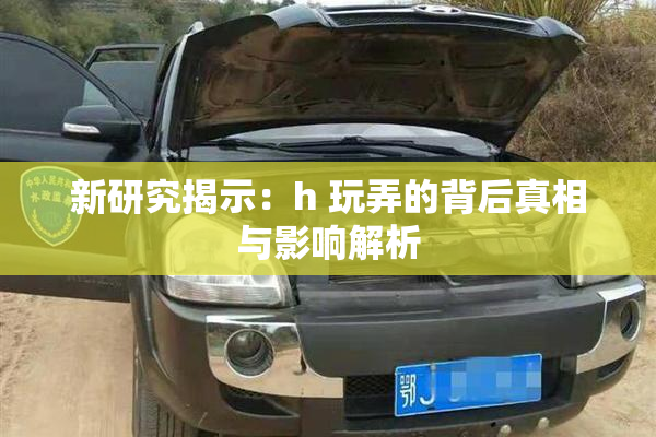 新研究揭示：h 玩弄的背后真相与影响解析