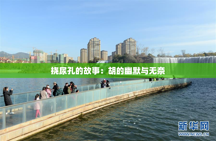 挠尿孔的故事：胡的幽默与无奈