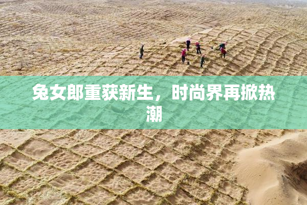 兔女郎重获新生，时尚界再掀热潮