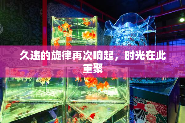 久违的旋律再次响起，时光在此重聚