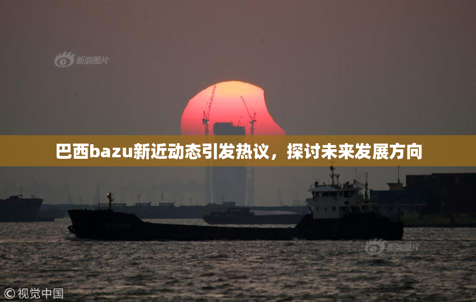 巴西bazu新近动态引发热议，探讨未来发展方向