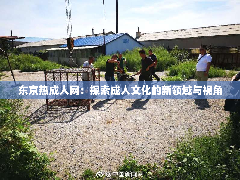 东京热成人网：探索成人文化的新领域与视角
