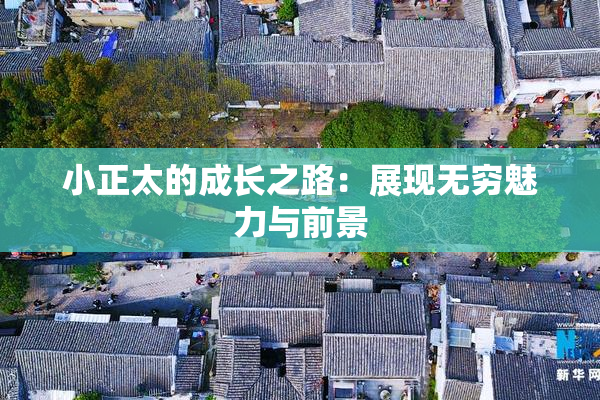 小正太的成长之路：展现无穷魅力与前景
