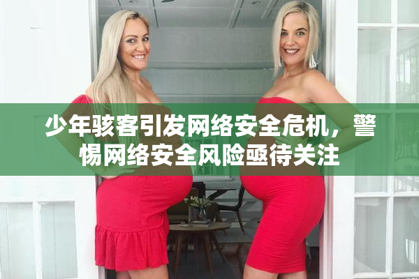 少年骇客引发网络安全危机，警惕网络安全风险亟待关注