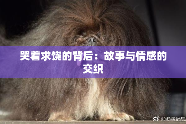 哭着求饶的背后：故事与情感的交织