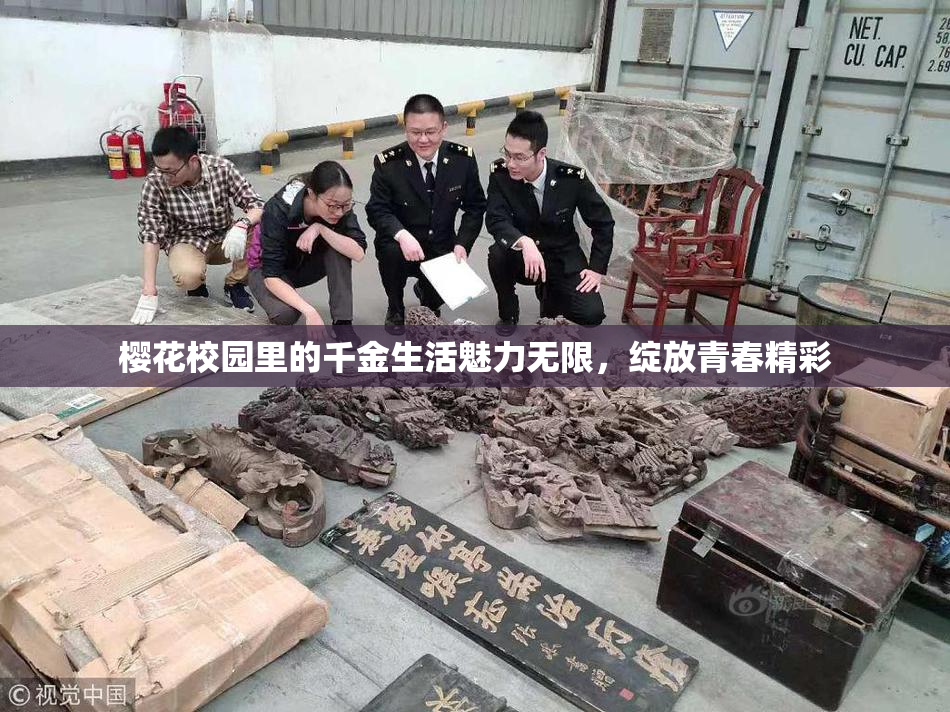 樱花校园里的千金生活魅力无限，绽放青春精彩