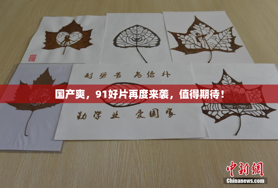 国产爽，91好片再度来袭，值得期待！