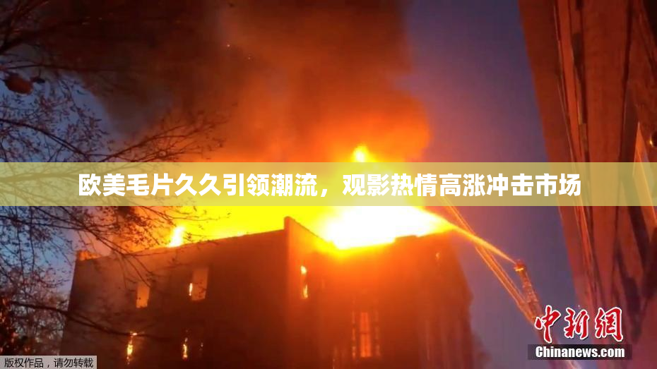 欧美毛片久久引领潮流，观影热情高涨冲击市场