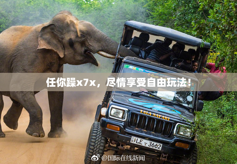 任你躁x7x，尽情享受自由玩法！
