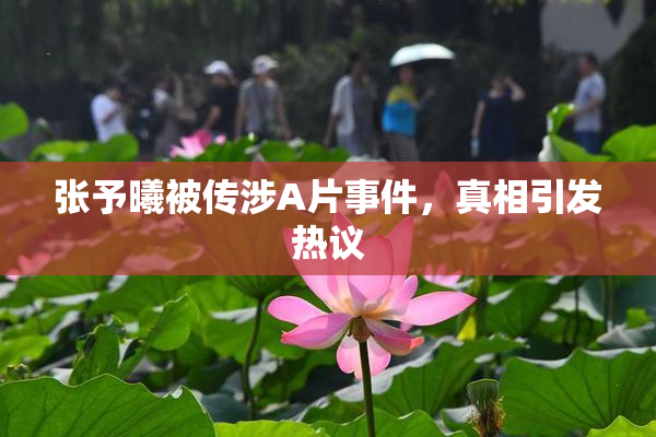 张予曦被传涉A片事件，真相引发热议