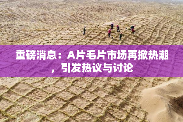 重磅消息：A片毛片市场再掀热潮，引发热议与讨论