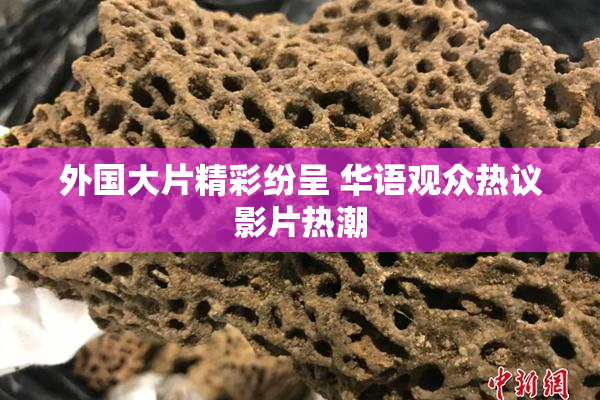 外国大片精彩纷呈 华语观众热议影片热潮