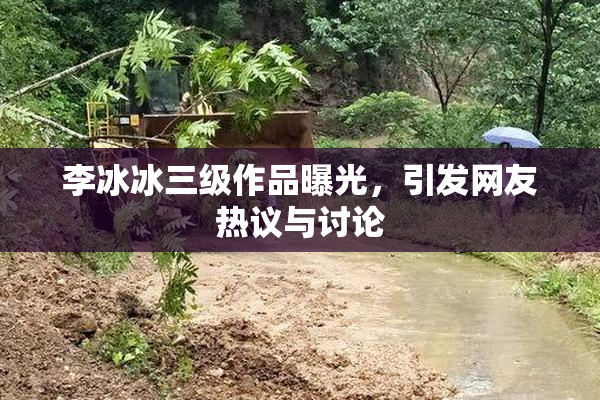 李冰冰三级作品曝光，引发网友热议与讨论