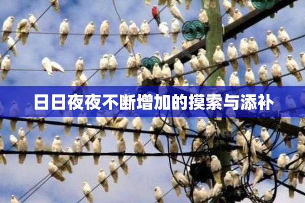 日日夜夜不断增加的摸索与添补