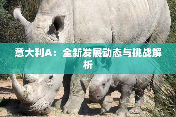 意大利A：全新发展动态与挑战解析