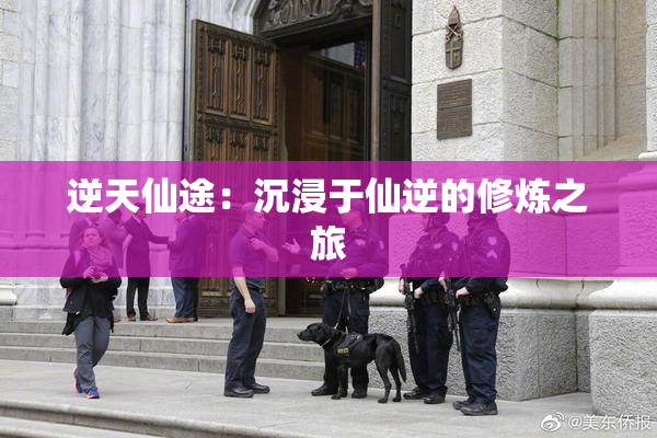 逆天仙途：沉浸于仙逆的修炼之旅