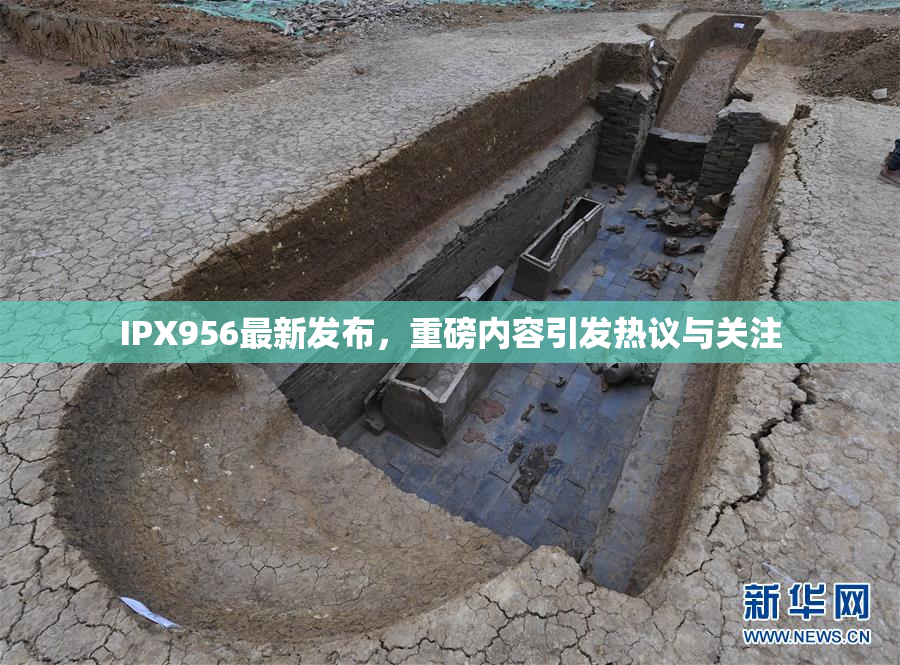 IPX956最新发布，重磅内容引发热议与关注