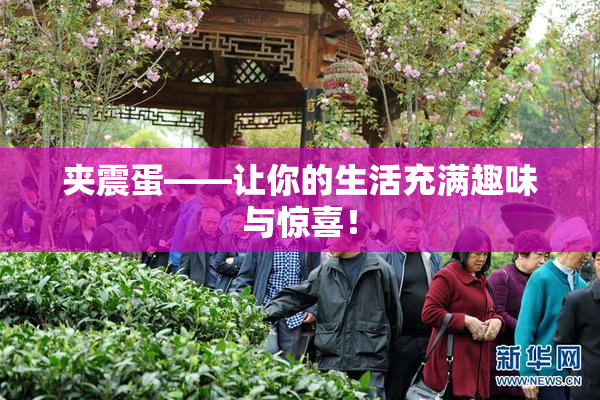 夹震蛋——让你的生活充满趣味与惊喜！