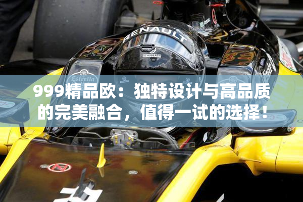 999精品欧：独特设计与高品质的完美融合，值得一试的选择！