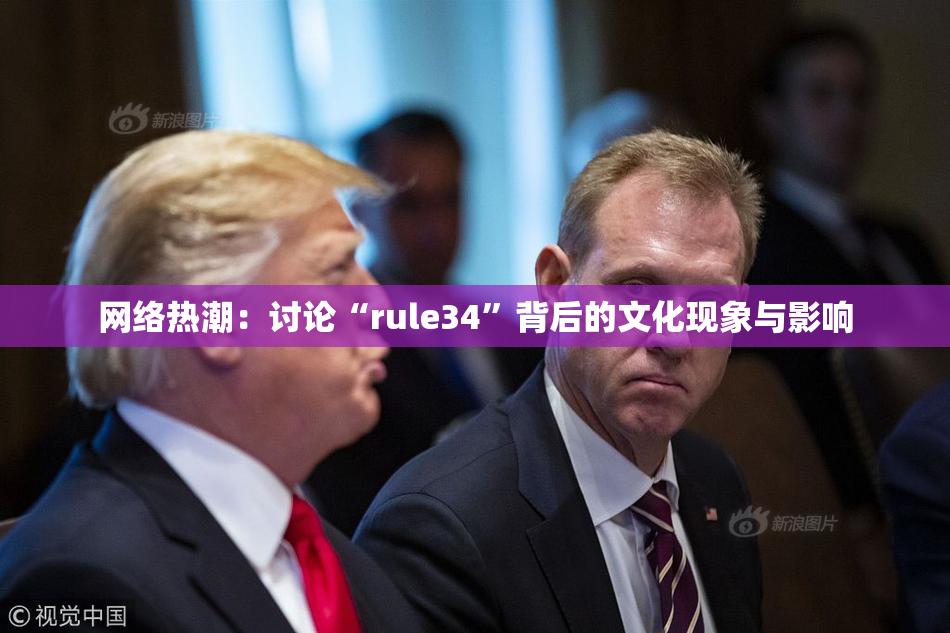网络热潮：讨论“rule34”背后的文化现象与影响