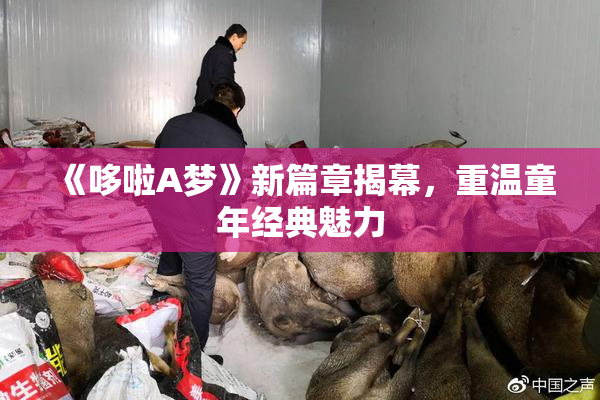 《哆啦A梦》新篇章揭幕，重温童年经典魅力