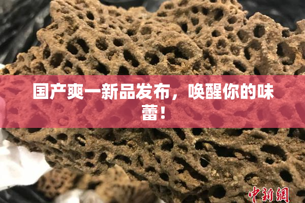 国产爽一新品发布，唤醒你的味蕾！