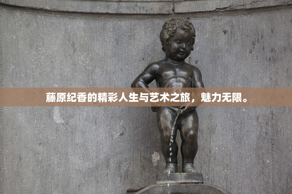 藤原纪香的精彩人生与艺术之旅，魅力无限。