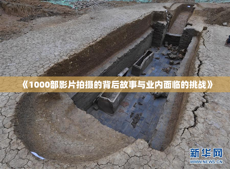 《1000部影片拍摄的背后故事与业内面临的挑战》