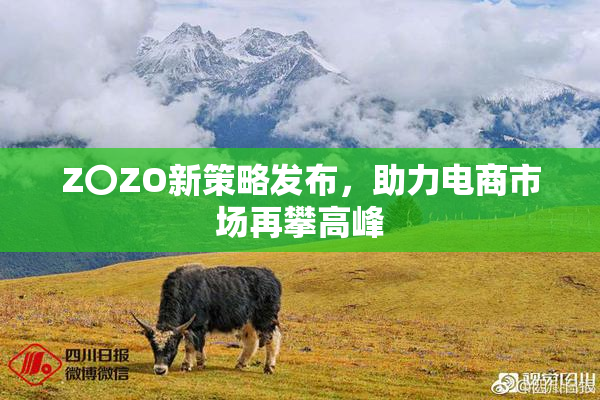 Z〇ZO新策略发布，助力电商市场再攀高峰
