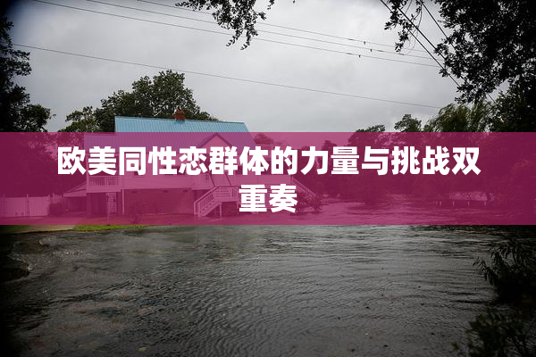 欧美同性恋群体的力量与挑战双重奏