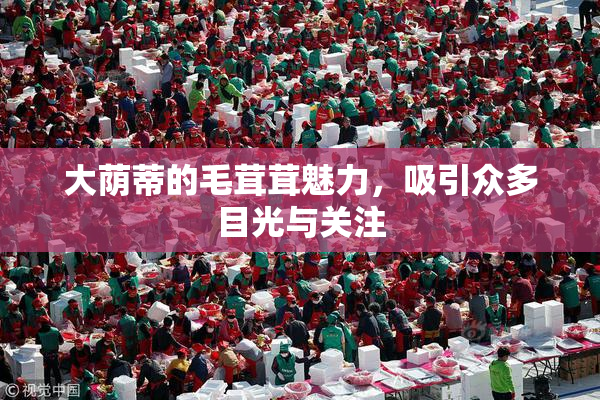 大荫蒂的毛茸茸魅力，吸引众多目光与关注