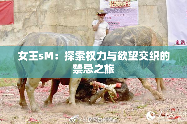 女王sM：探索权力与欲望交织的禁忌之旅