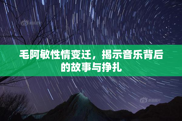 毛阿敏性情变迁，揭示音乐背后的故事与挣扎