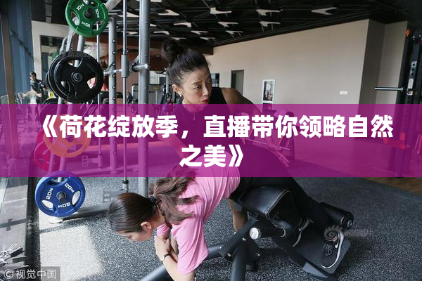 《荷花绽放季，直播带你领略自然之美》