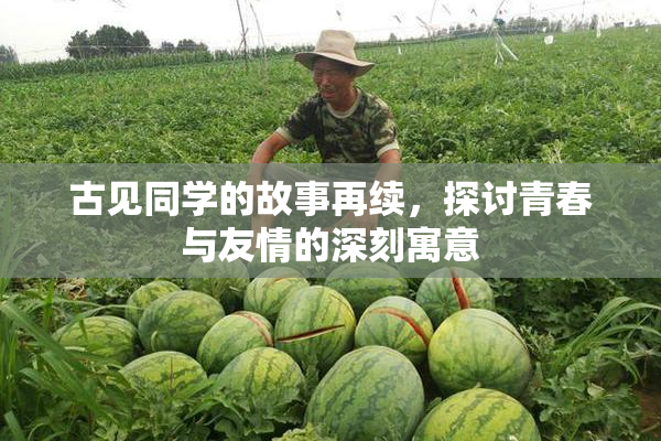 古见同学的故事再续，探讨青春与友情的深刻寓意