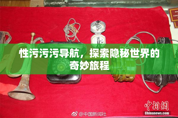 性污污污导航，探索隐秘世界的奇妙旅程