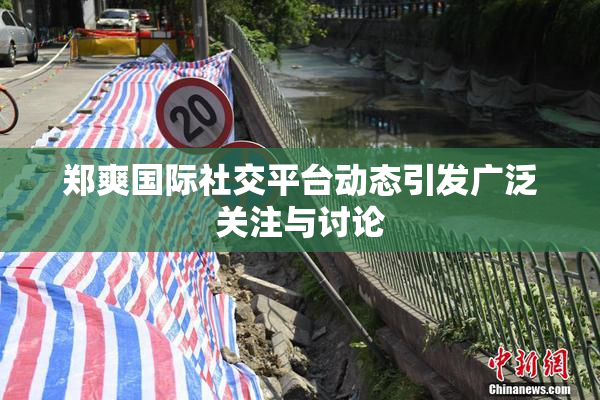 郑爽国际社交平台动态引发广泛关注与讨论