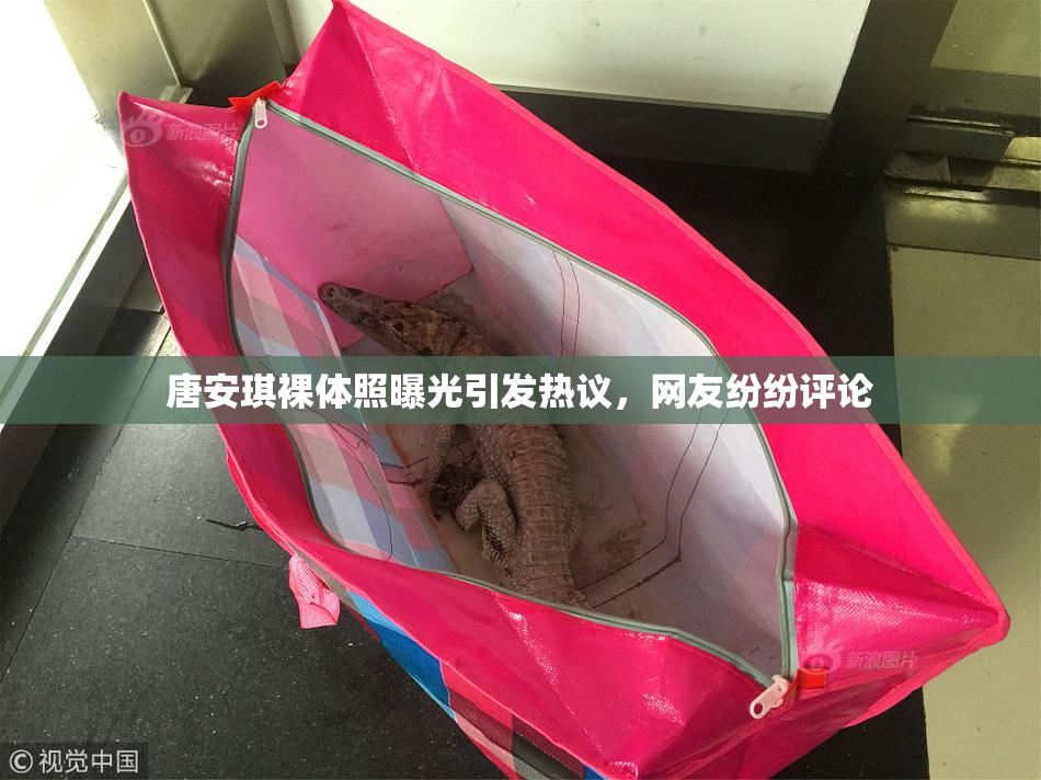 唐安琪裸体照曝光引发热议，网友纷纷评论