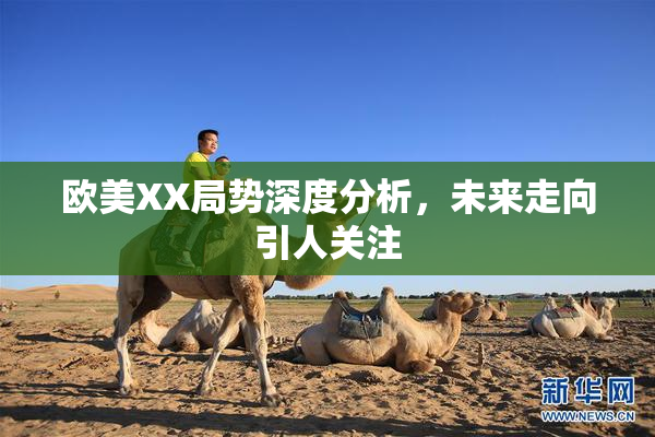 欧美XX局势深度分析，未来走向引人关注