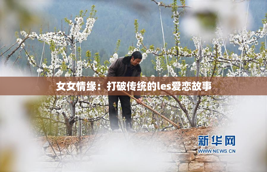 女女情缘：打破传统的les爱恋故事
