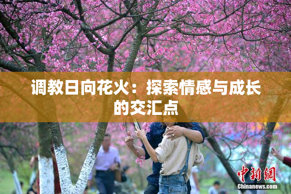 调教日向花火：探索情感与成长的交汇点