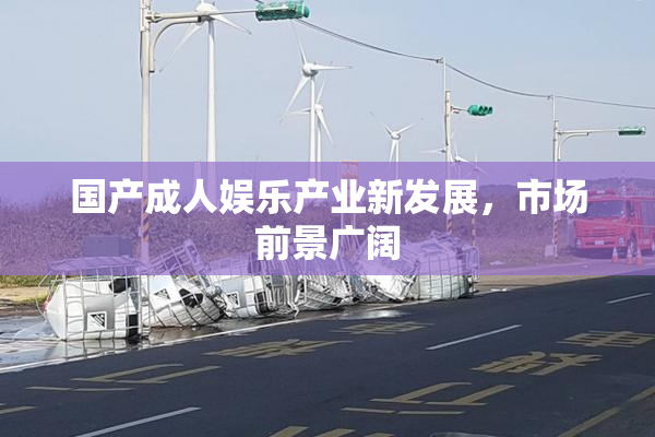 国产成人娱乐产业新发展，市场前景广阔