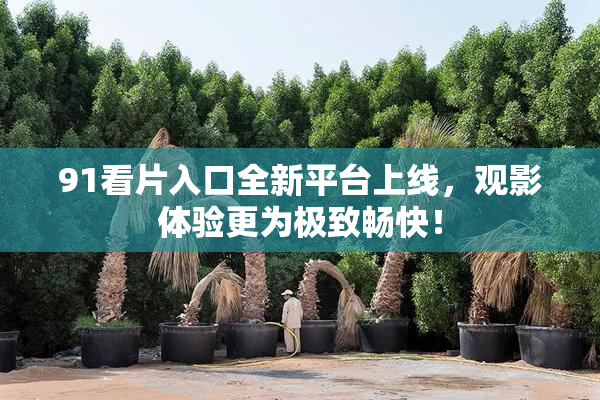91看片入口全新平台上线，观影体验更为极致畅快！