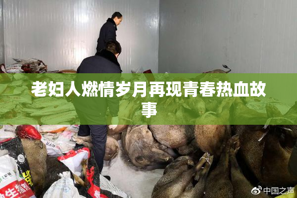 老妇人燃情岁月再现青春热血故事
