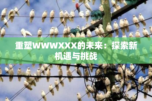 重塑WWWXXX的未来：探索新机遇与挑战